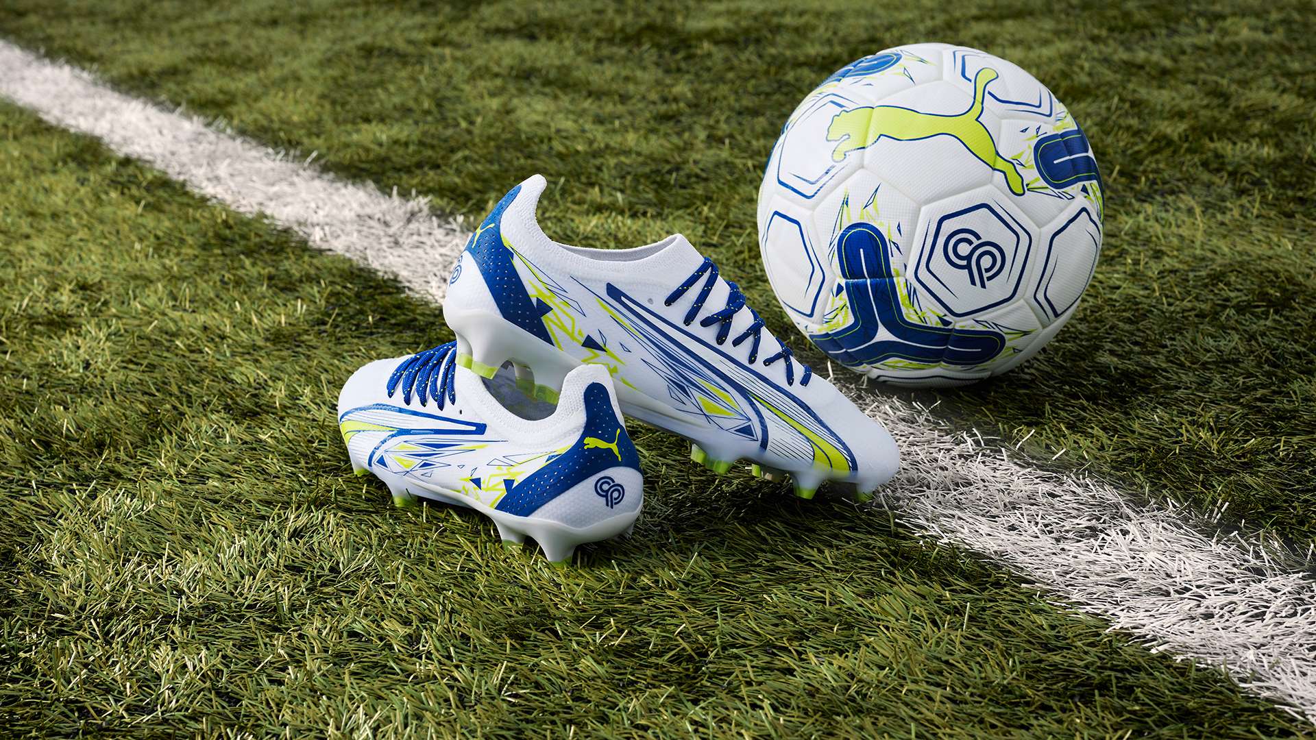 们在赛场上 们在赛场上