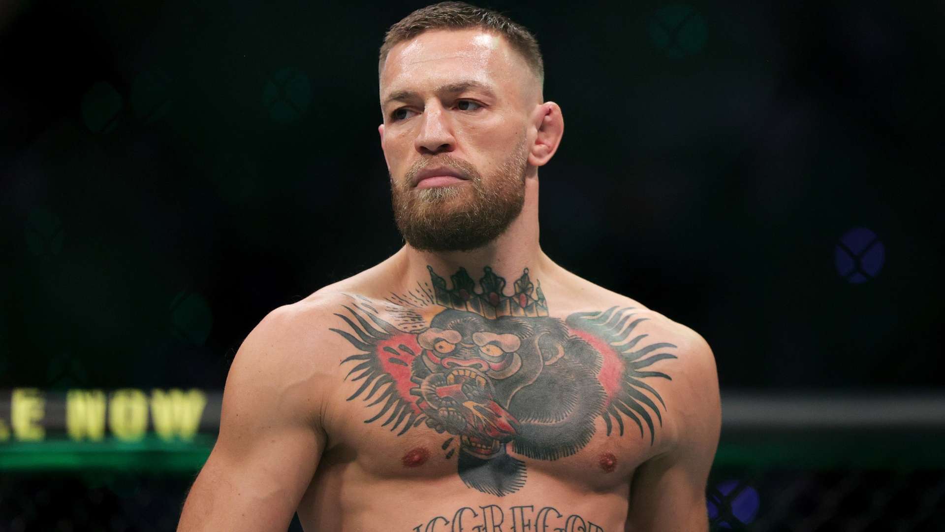 世界杯的进 世界杯的进